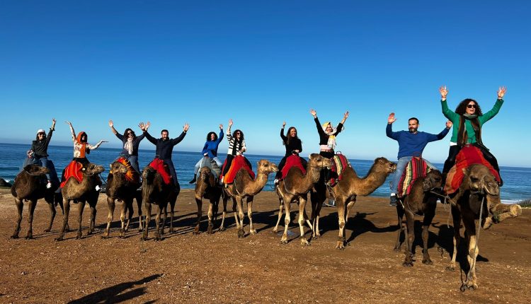 71a90da7-66f4-43ad-9707-4bb3bfcb6aef